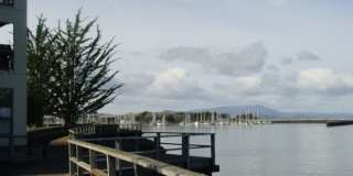 Sunny Studio in Resort Setting on the Bay 15 minutes from SF Gallery 34