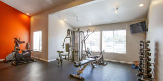 Icon on Spanish Trail Gallery 15