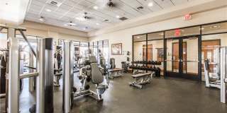 3418 Singer Lane Gallery 51