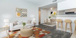The Cara Gallery 3