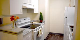 Allyson Gardens II Gallery 36