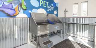 Parc at Wesley Chapel Gallery 25