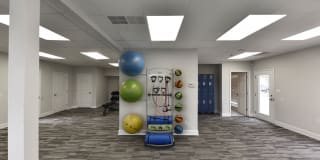 The Harrison/Marc Gallery 23