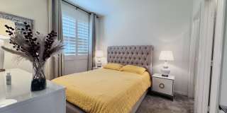 25026 Ganymede Way Gallery 6