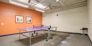 Americana Gallery 33