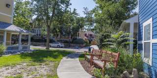 Trocadero Gallery 29