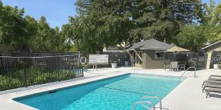 Carmel Woods Gallery 54