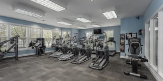 Falls at Landen Gallery 28