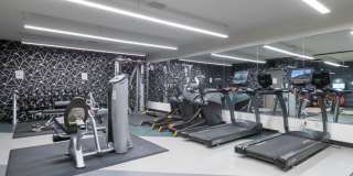 Top of The Mount Gallery 5