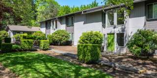 Englewood Terrace Gallery 16