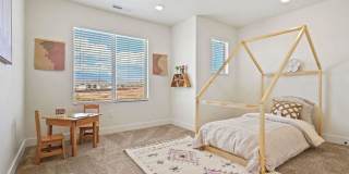 VALO at Desert Haven Gallery 19