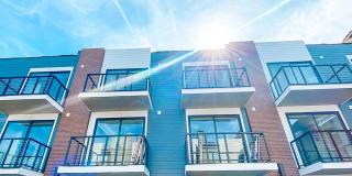 The Delilah Gallery 1