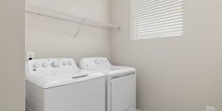 Cadence Music Factory Gallery 41