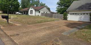 Gorgeous & Spacious Home Now Available Gallery 22