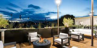 Silhouette Gallery 35