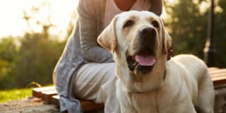 Avana Cumberland Gallery 31