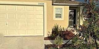 35008 ACKLEY TRACE Gallery 1