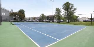 Island Club Gallery 24