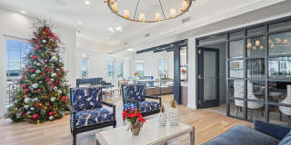 Society at Laurens Gallery 45