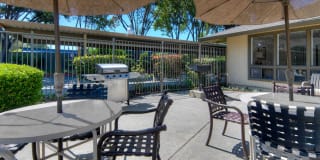 Arbor Terrace Gallery 27