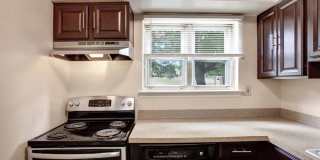 Brakeley Gardens Gallery 2