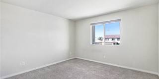 7719 Poppy Gallery 20