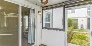 Westshore Condo Gallery 53