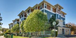 Casa Dorada Casa Dorada Gallery 1