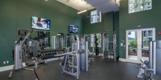 Solmar on Sixth Solmar on Sixth Gallery 7