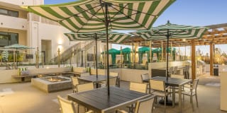 The Mansfield at Miracle Mile Gallery 31