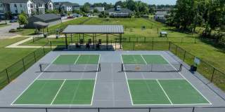 The Aster Gallery 29