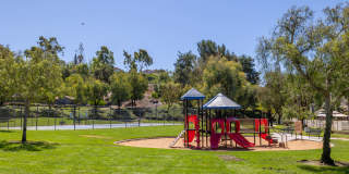 Windridge Gallery 30