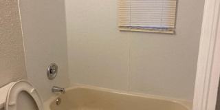 House for Rent - St Petersburg 3 Bedroom 1 Bath w WD Room Gallery 11