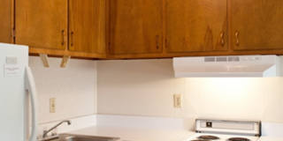 Sun Terrace Gallery 1