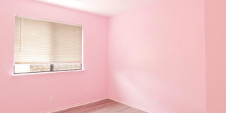 45809 E Evelyn Court Gallery 18