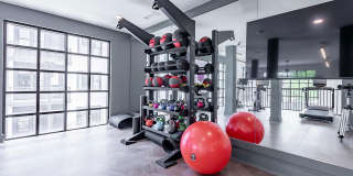 Novel Cary Gallery 35