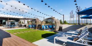 The Tolman Gallery 3