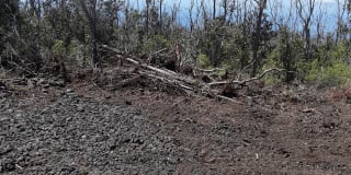 92-2432 Lei Parkway Gallery 1