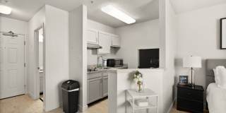 AVIA North Shore Gallery 4