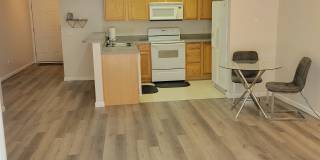 2801 Trailwood Pines Lane Gallery 1