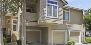 5305 Tacoma Cmn Gallery 1