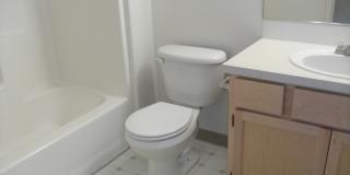 Large Beautiful 4 Bedroom Home w/ Loft & Upstairs Laundry Room! Gallery 13
