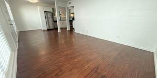 River Oaks Gallery 30