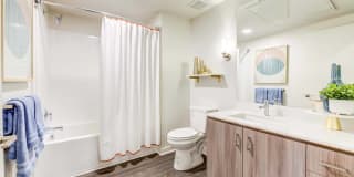 Essence Essence Gallery 6