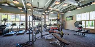 Bexley Sugarloaf Gallery 19