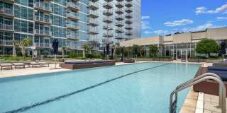 Allure Hermann Park Gallery 33