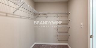 10615 Sweet Sapling Street Gallery 18