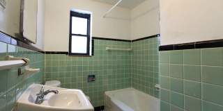 Treehaven Apartments Gallery 48