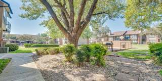 Bardin Oaks Gallery 41