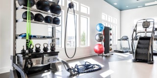 Advenir at Dawson Hills Gallery 13